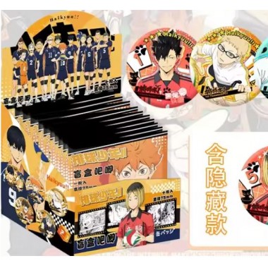 Postal & Mega Pin Haikyuu